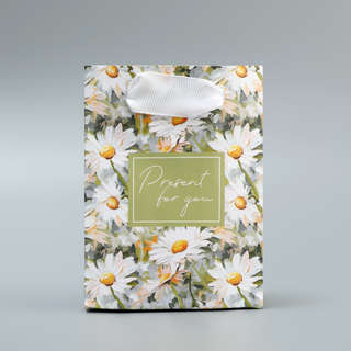 Пакет подарочный ламинированный Present, 9 х 12 х 6.5 см 2