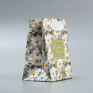 Пакет подарочный ламинированный Present, 9 х 12 х 6.5 см 3