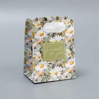 Пакет подарочный ламинированный Present, 9 х 12 х 6.5 см 4