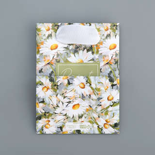 Пакет подарочный ламинированный Present, 9 х 12 х 6.5 см 6