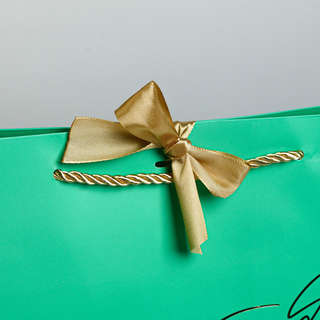 Пакет подарочный «Можно всё», 30 х 27.5 х 12 см 4