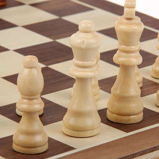Шахматы 'Подарочные', 40 х 40 см 4
