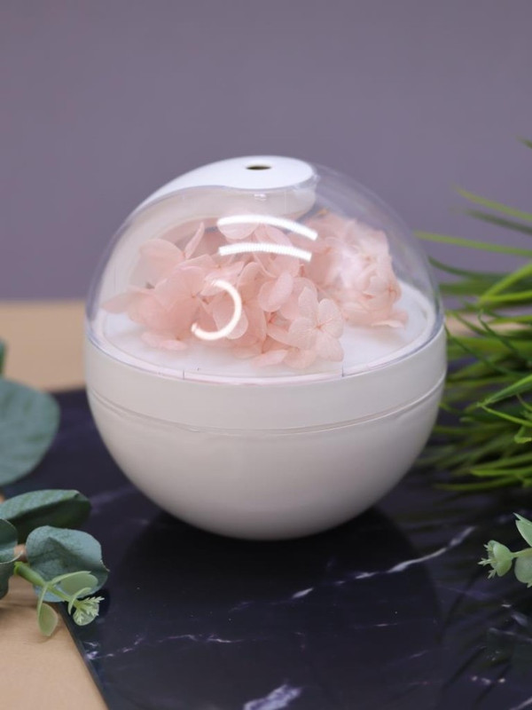 Настольный увлажнитель воздуха - ночник 'Flower', портативный, USB