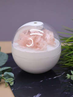 Настольный увлажнитель воздуха - ночник 'Flower', портативный...