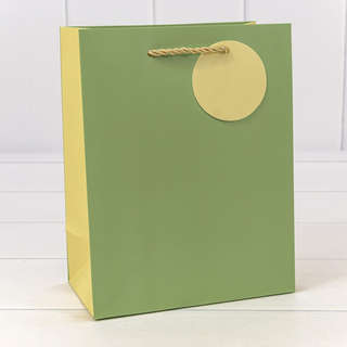 Пакет подарочный матовый Бледно-зелёный 18х23х10 см