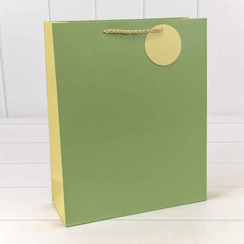 Пакет подарочный матовый Бледно-зелёный 26х32х10 см