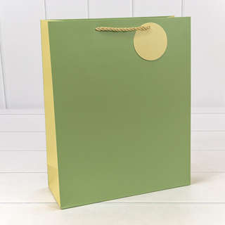 Пакет подарочный матовый Бледно-зелёный 26х32х10 см
