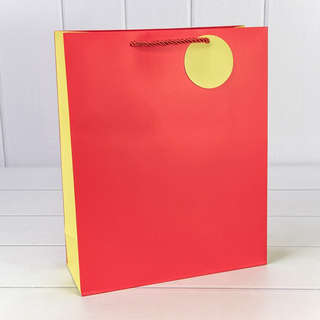 Пакет подарочный матовый Красный 26х32х10 см