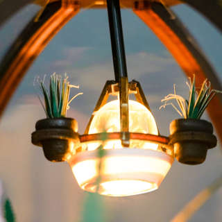 Румбокс Флорариум, Hobby Day 10