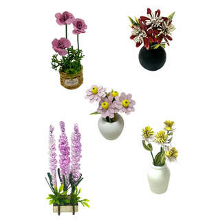 Румбокс Флорариум, Hobby Day 7