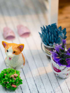 Румбокс На даче, Hobby Day 8