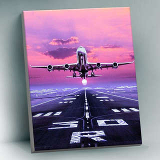 Картина по номерам с поталью платина 'Взлет', 40х50 см, 14 цв...