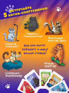 Настольная игра 'Котодром', Dream Makers 5