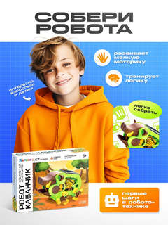 Конструктор «Робот кабанчик» электронный, работает от солнечной батареи, 47 деталей 5