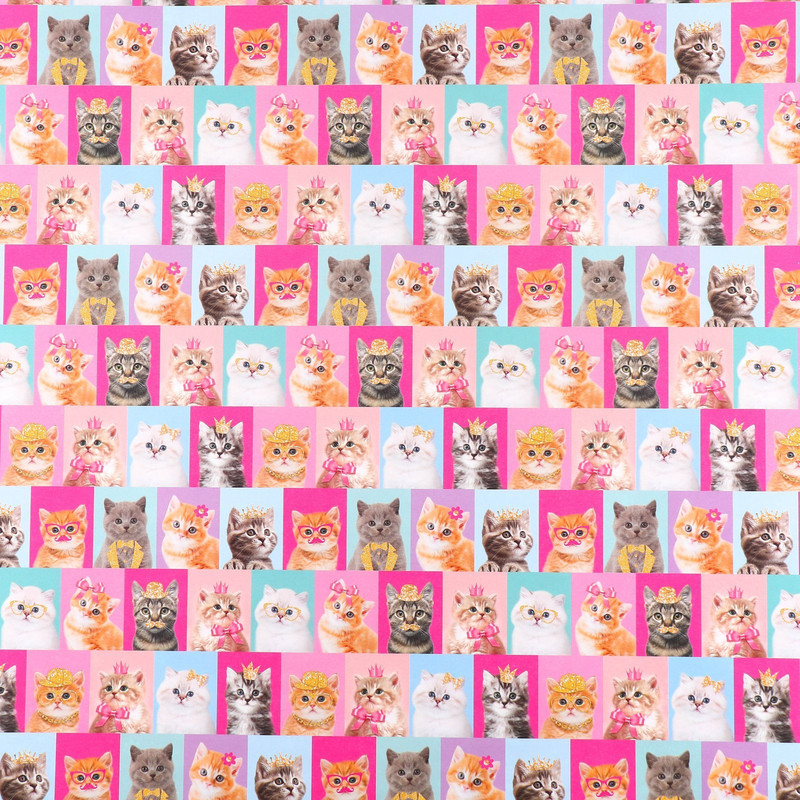 Бумага упаковочная двухсторонняя крафтовая «Коты», 70 х 100 см
