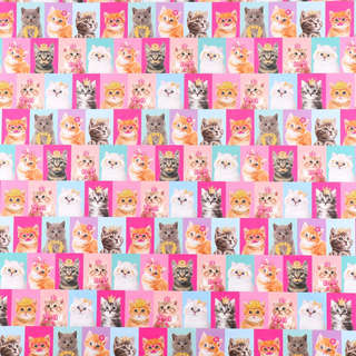 Бумага упаковочная двухсторонняя крафтовая «Коты», 70 х 100 см