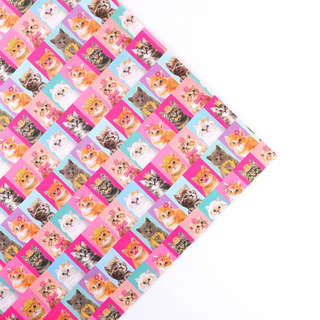 Бумага упаковочная двухсторонняя крафтовая «Коты», 70 х 100 см 4