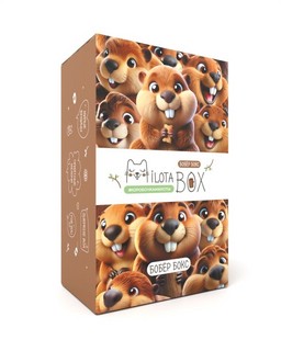 Подарочный набор MilotaBox mini 'Бобёр Бокс' коробочка милоты 2