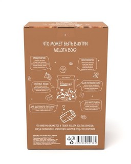 Подарочный набор MilotaBox mini 'Бобёр Бокс' коробочка милоты 4