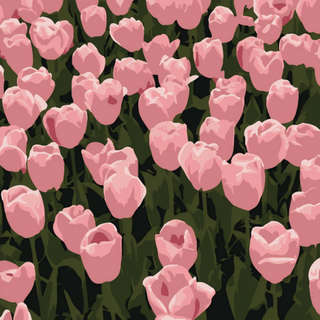 Картина по номерам на подрамнике Draw Me! «Beautiful flowers»