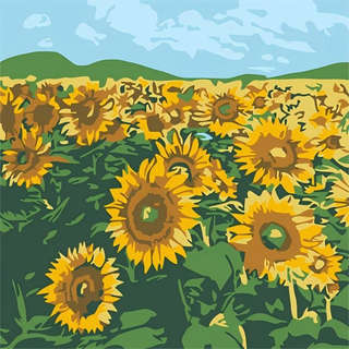 Картина по номерам на подрамнике Draw Me! «Bright sunflowers»