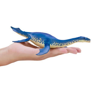 Криптоклид, KONIK 6