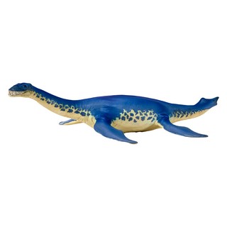 Криптоклид, KONIK