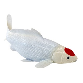 Карп кои - Танчо, KONIK 4