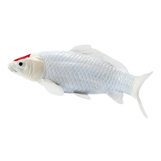 Карп кои - Танчо, KONIK 6