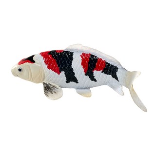 Карп Кои - Сева Саншоку (трёхцветный), KONIK 6