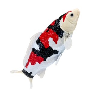 Карп Кои - Сева Саншоку (трёхцветный), KONIK 8