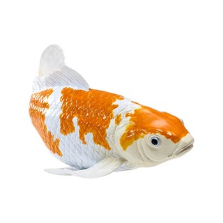 Карп кои - Ошиба Шигуре, KONIK 6