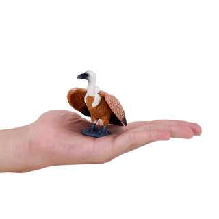 Белоголовый грифон, KONIK 5