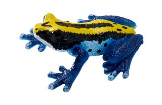 Голубой древолаз, KONIK