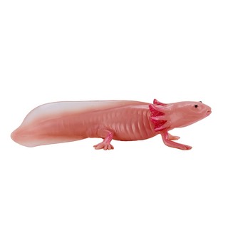 Аксолотль, KONIK 3