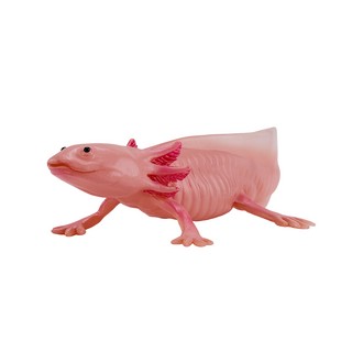 Аксолотль, KONIK 5