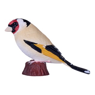 Европейский щегол, KONIK 2