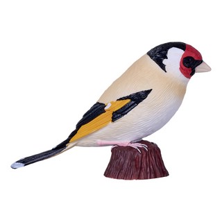 Европейский щегол, KONIK 3