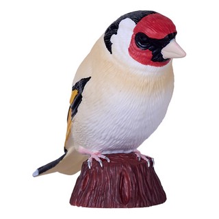 Европейский щегол, KONIK 4