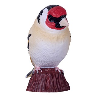 Европейский щегол, KONIK 5