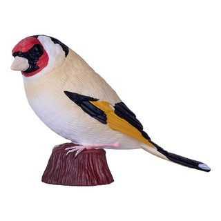 Европейский щегол, KONIK