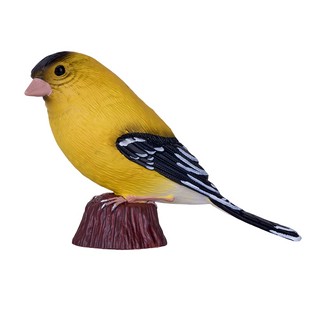 Американский щегол, KONIK 2