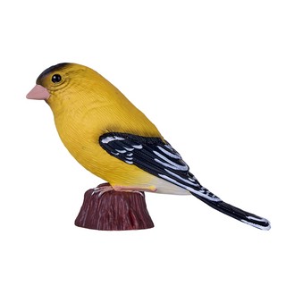 Американский щегол, KONIK 3