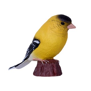 Американский щегол, KONIK 5