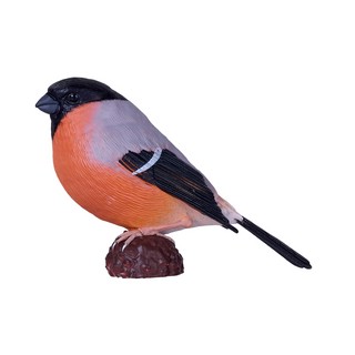 Снегирь обыкновенный, KONIK 2