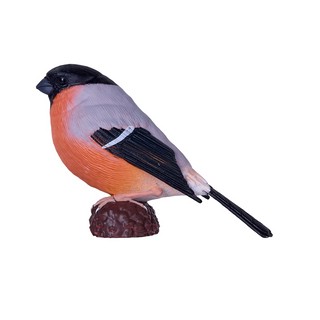 Снегирь обыкновенный, KONIK 3