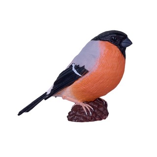 Снегирь обыкновенный, KONIK 4