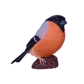 Снегирь обыкновенный, KONIK 5