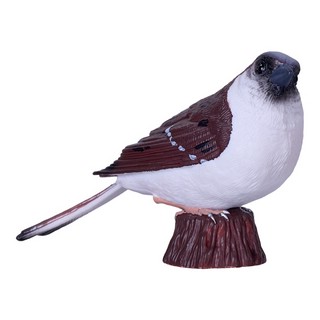 Воробей домашний, KONIK 2