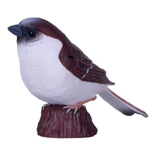 Воробей домашний, KONIK 3